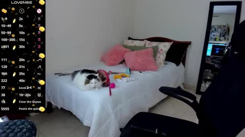   Mariam Castiblanco online show from 14, 1, 2025