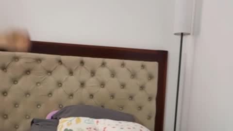 Antonia online show from 4, 10, 2025