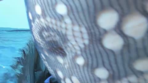 marilynwett online show from 21, 3, 2026