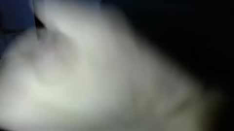 mark_270 online show from 3, 4, 2026