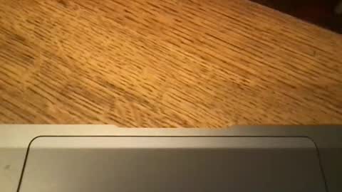 Snapshot of marklondonguy2023 chatting on 27, 11, 2025 marklondonguy2023 online show from 27, 11, 2025