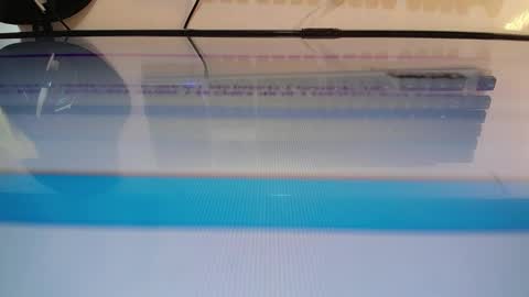 Marlin  online show from 25, 2, 2025