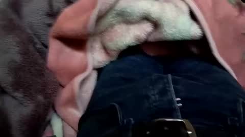 marocreda33 online show from 11, 3, 2025