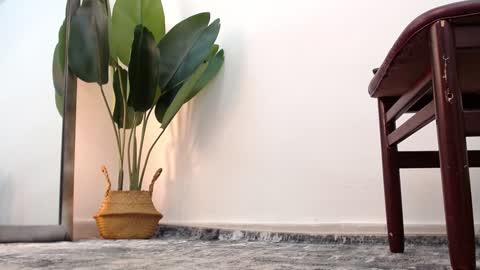 marthina thompson online show from 24, 12, 2024