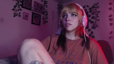                      100   online show from 19, 12, 2024