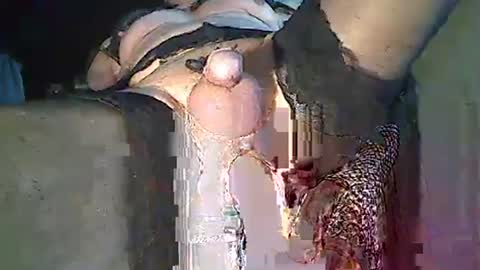 maschpro online show from 26, 12, 2024