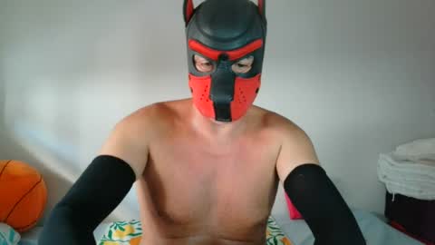 MaskPor2022 online show from 23, 7, 2026