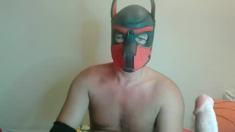 MaskPor2022 online show from 2, 8, 2026
