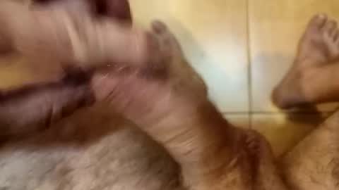 Snapshot of mastmachine87 chatting on 16, 10, 2025 Chriss online show from 16, 10, 2025