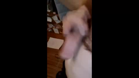 masturbator469658 online show from 22, 3, 2026