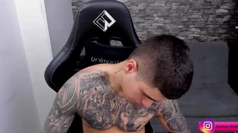 Snapshot of mathew_wolf4 chatting on 8, 11, 2025 Mathew Independent model online show from 8, 11, 2025