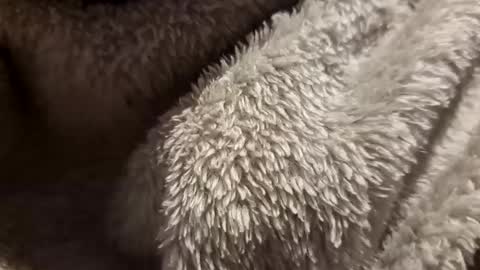 mattca80 online show from 4, 10, 2025