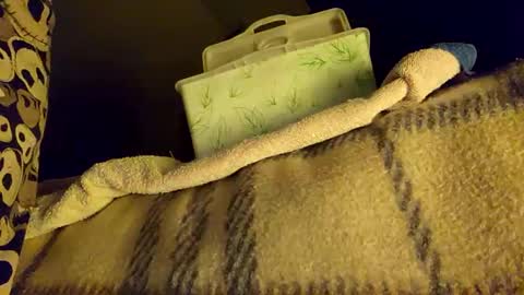 mattshadows667 online show from 20, 1, 2025