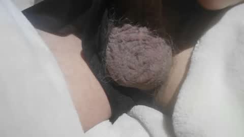 Hairy Bud online show from 15, 5, 2026