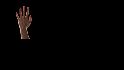 Future Max online show from 24, 2, 2025