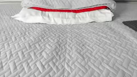 Maybelline69 online show from 12, 3, 2026