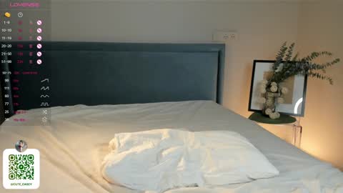 My name Casey  online show from 2, 2, 2025