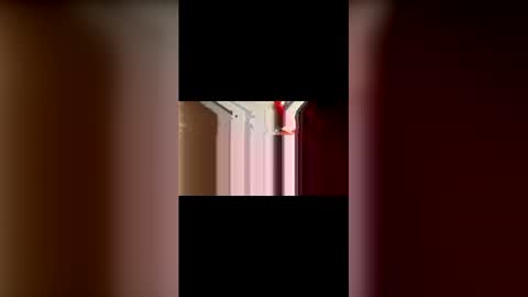 mcgriffwes2 online show from 12, 2, 2026