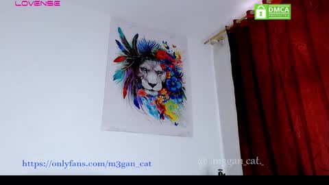 Snapshot of megan_cat chatting on 18, 11, 2025 megan_cat online show from 18, 11, 2025
