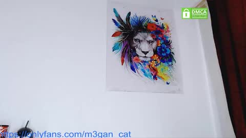 Snapshot of megan_cat chatting on 1, 12, 2025 megan_cat online show from 1, 12, 2025
