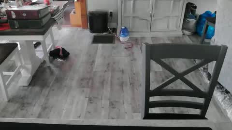 Snapshot of meganfitzy chatting on 27, 2, 2025 GlamTransGoddess online show from 27, 2, 2025