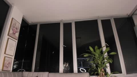 Mara online show from 31, 1, 2025