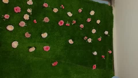 megatitts_ online show from 1, 4, 2026