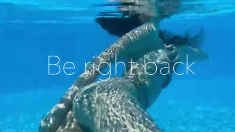 Adel online show from 3, 11, 2025