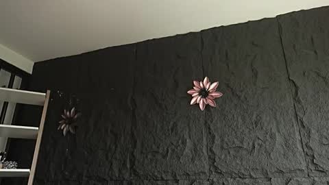 Melissa online show from 12, 2, 2026