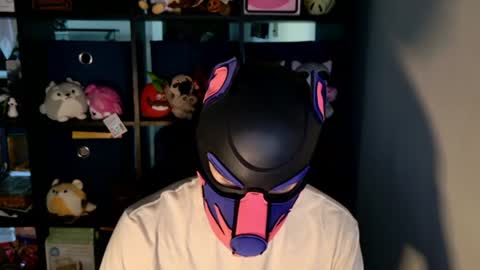 MellPUP online show from 23, 6, 2026