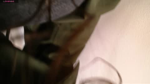 Snapshot of melodiroux_ chatting on 23, 6, 2026 Melodi online show from 23, 6, 2026