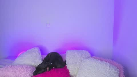    online show from 15, 2, 2025