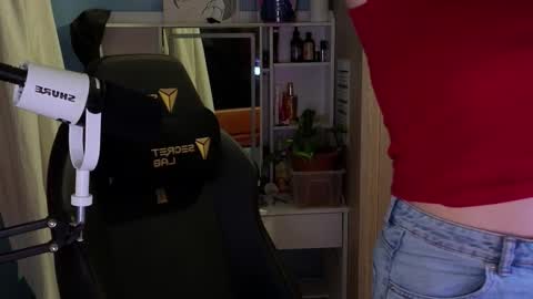 Snapshot of memisecrets chatting on 17, 2, 2026 Megumi Aina online show from 17, 2, 2026