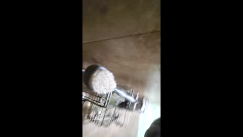 Snapshot of men_seeker chatting on 12, 2, 2026 men_seeker online show from 12, 2, 2026