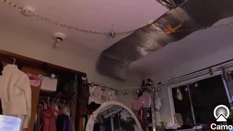 gurlnips online show from 30, 1, 2025