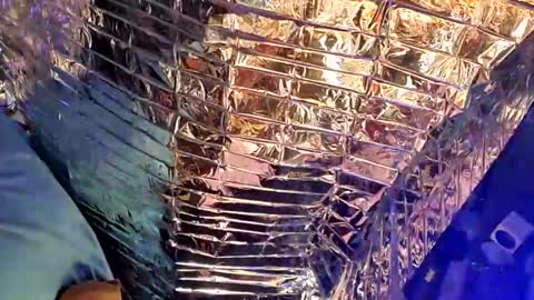 gurlnips online show from 14, 2, 2025