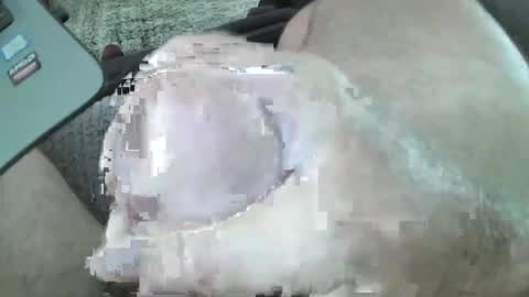 mexianthehawk online show from 4, 4, 2026