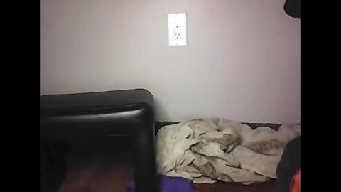 Snapshot of mi45419 chatting on 2, 11, 2025 mi45419 online show from 2, 11, 2025