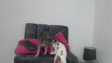 M I A online show from 13, 11, 2025