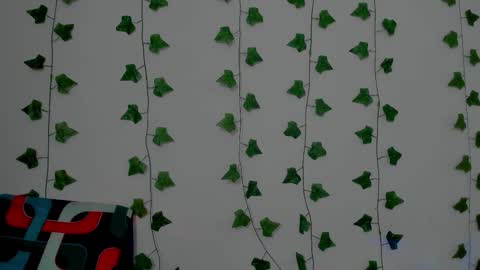 MIA online show from 17, 12, 2025