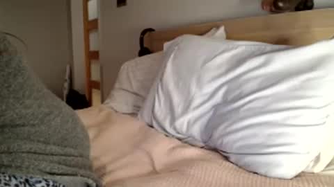 Snapshot of miamuffin8 chatting on 24, 12, 2024 MiaMuffn online show from 24, 12, 2024