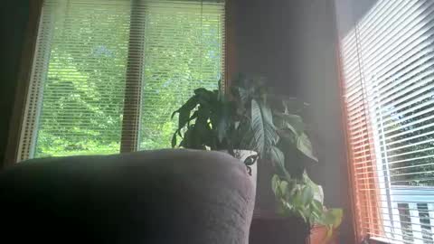 Big Dick Mike online show from 7, 6, 2026