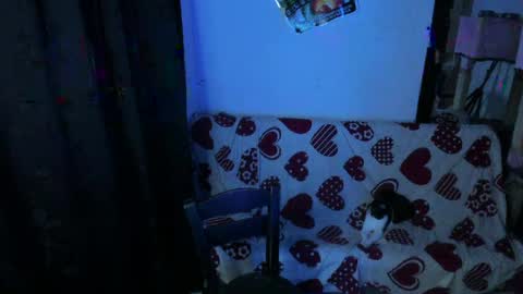 michael independent model  online show from 5, 4, 2026