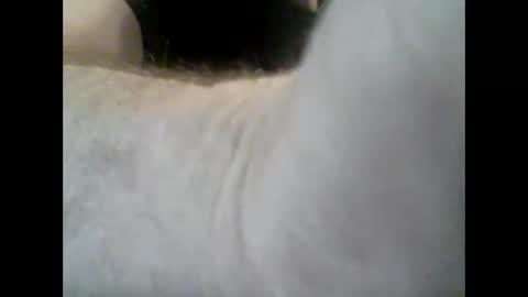 Snapshot of michmark chatting on 6, 3, 2026 mysteryman online show from 6, 3, 2026