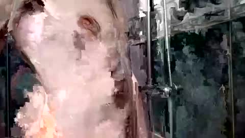 Snapshot of mickavis1975 chatting on 1, 1, 2025 mickavis1975 online show from 1, 1, 2025