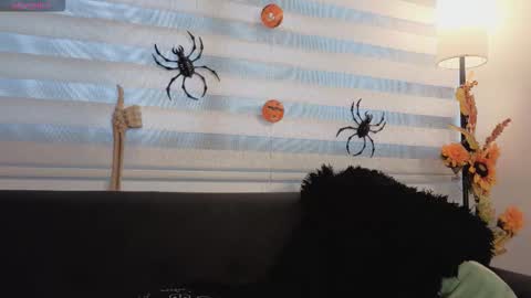 midori__san online show from 4, 11, 2025