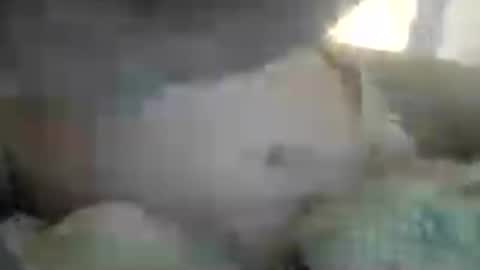 miguel 12345678012 online show from 14, 6, 2026
