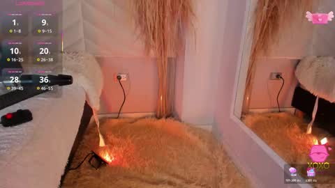   online show from 13, 11, 2025