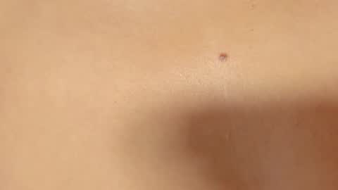 Scarlett online show from 8, 3, 2025