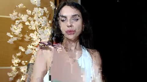 Mika online show from 25, 12, 2024